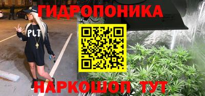 Альфа ПВП Дубна