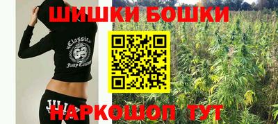 Альфа ПВП Дубна